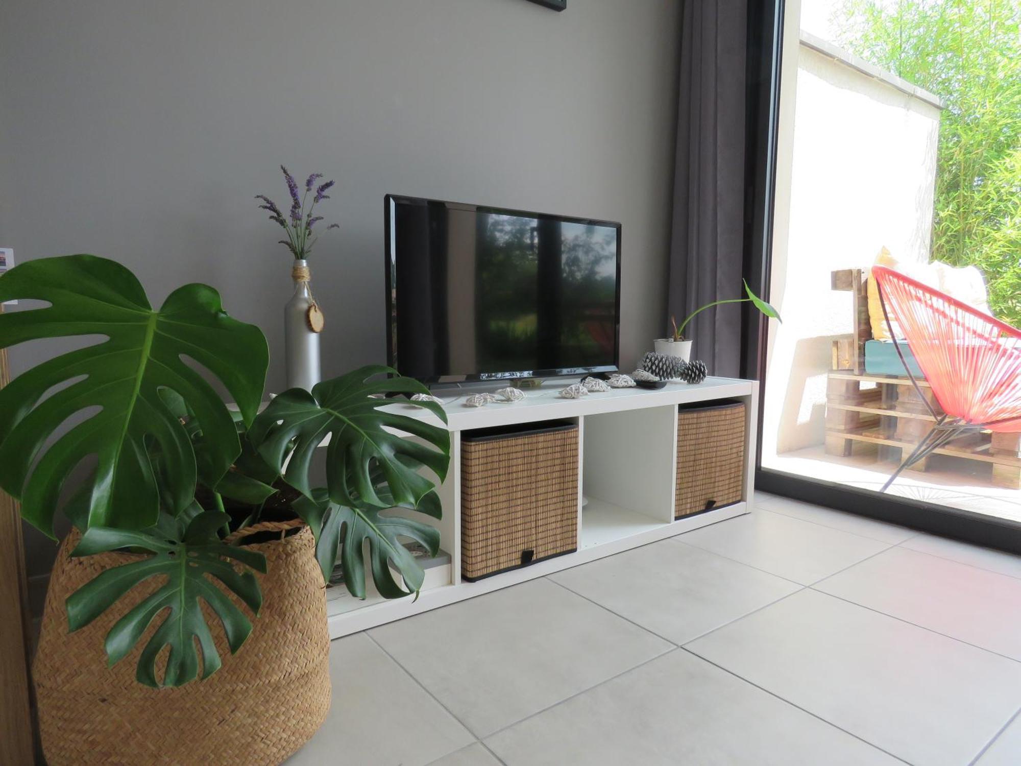 Les Jardins D'Oc - Wifi, Terrasse Et Jardinet - Appart T2 Neuf Soual ภายนอก รูปภาพ
